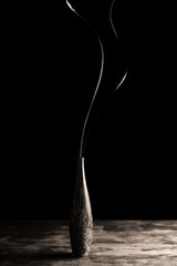 Curve Poster och Canvastavla