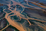 A lake that looks a tree root Poster och Canvastavla