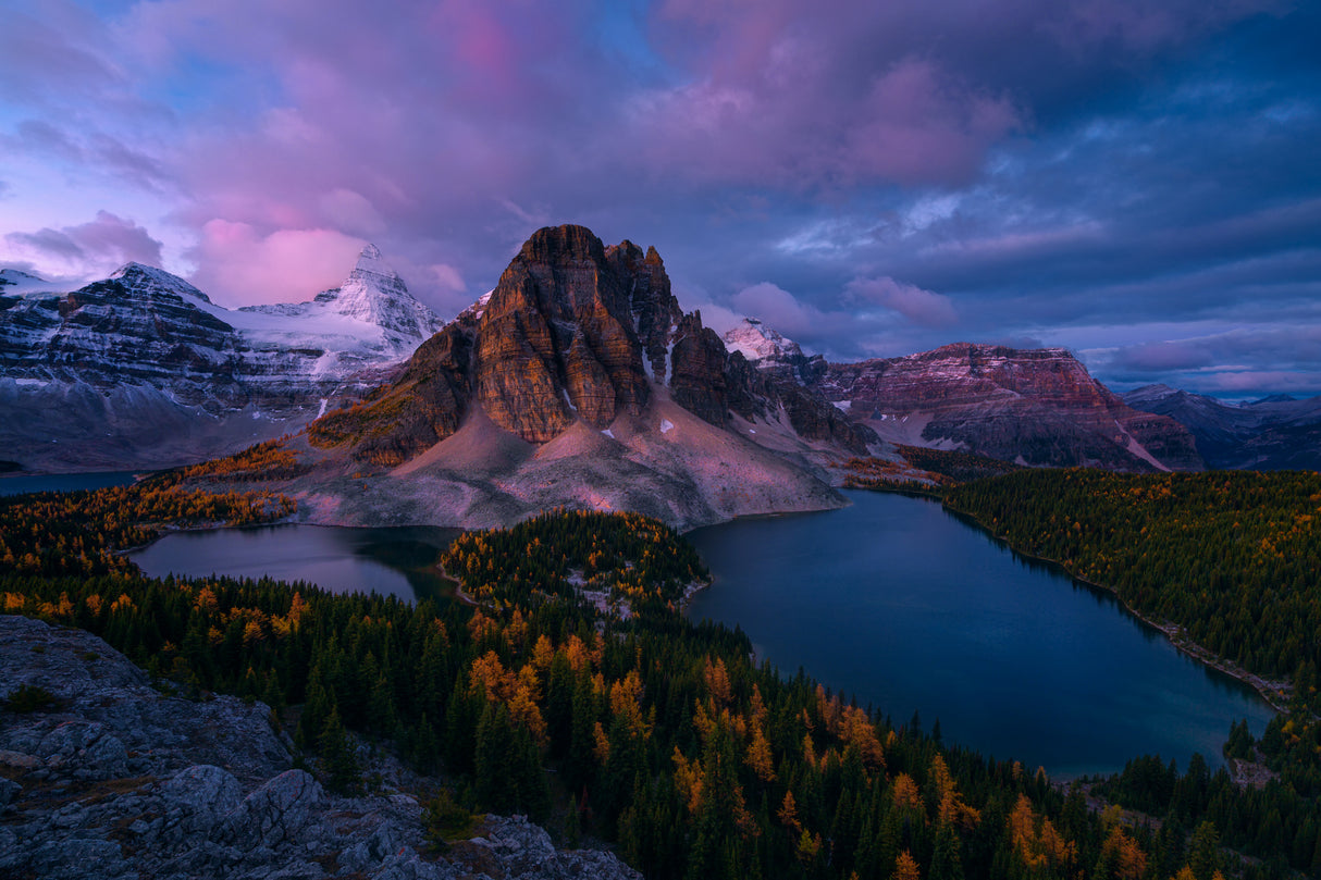 Sunrise at Mt. Assiniboine Poster och Canvastavla