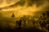 dusty journey Poster och Canvastavla