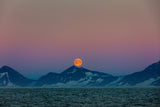 Moon over Arctic Poster och Canvastavla