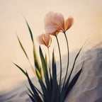 Dune Flowers No 4 Poster och Canvastavla