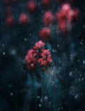 A Snowy Evening Poster och Canvastavla