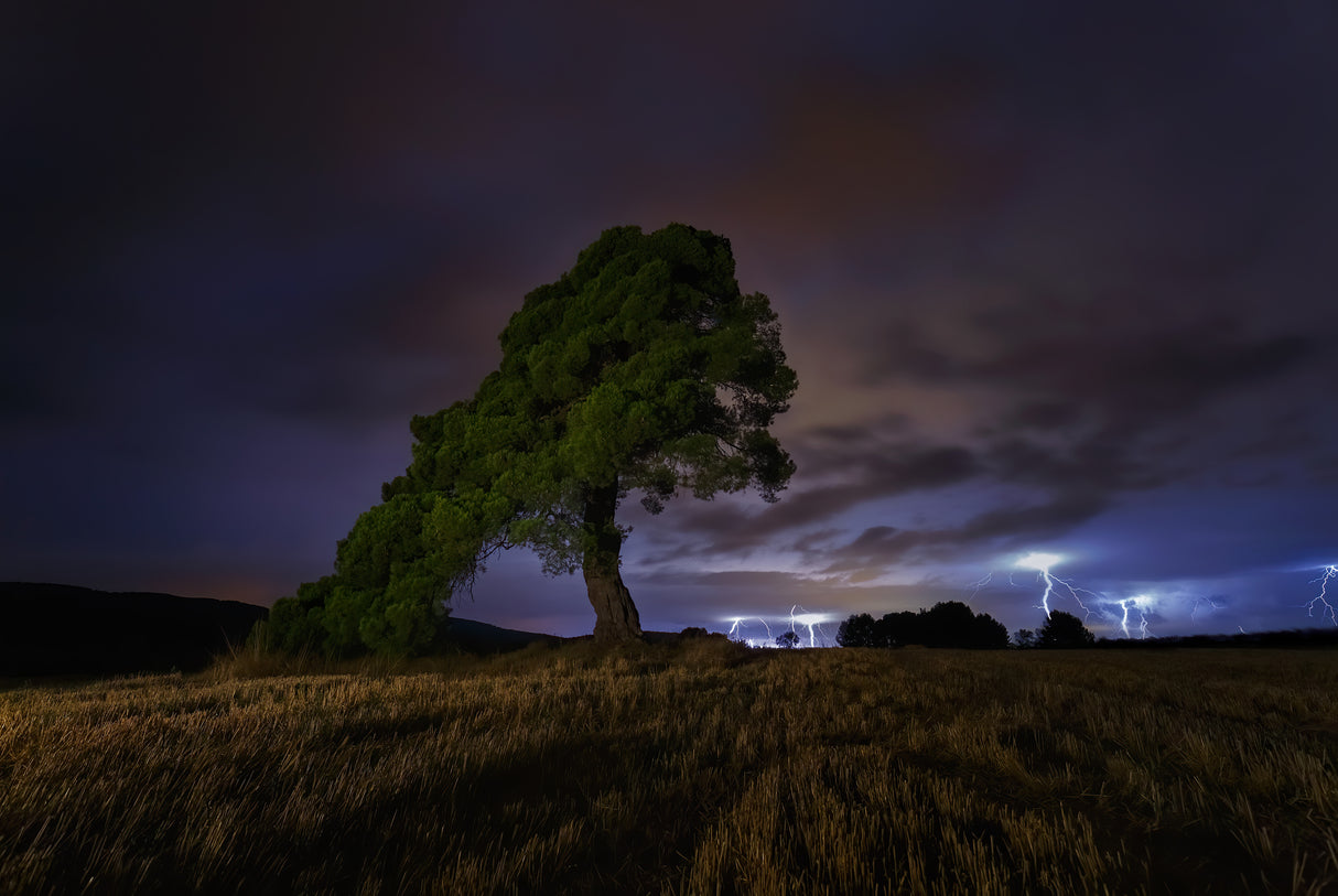 Summer Storm Poster och Canvastavla