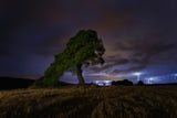 Summer Storm Poster och Canvastavla