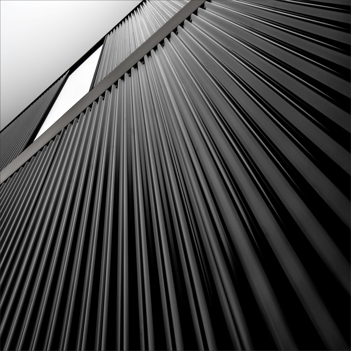 black is black Poster och Canvastavla