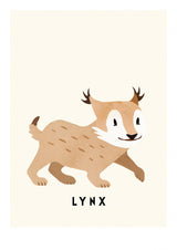 Lynx Poster och Canvastavla