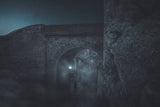 In the Night... Poster och Canvastavla