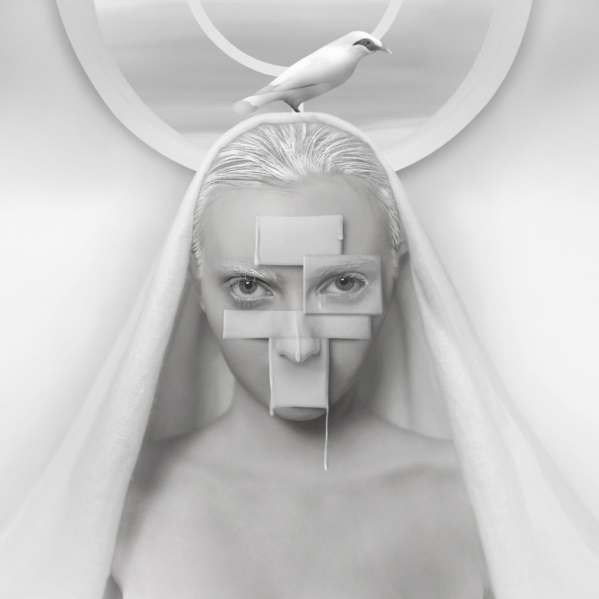 Lose My Faith Poster och Canvastavla