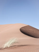 Namib Two Poster och Canvastavla