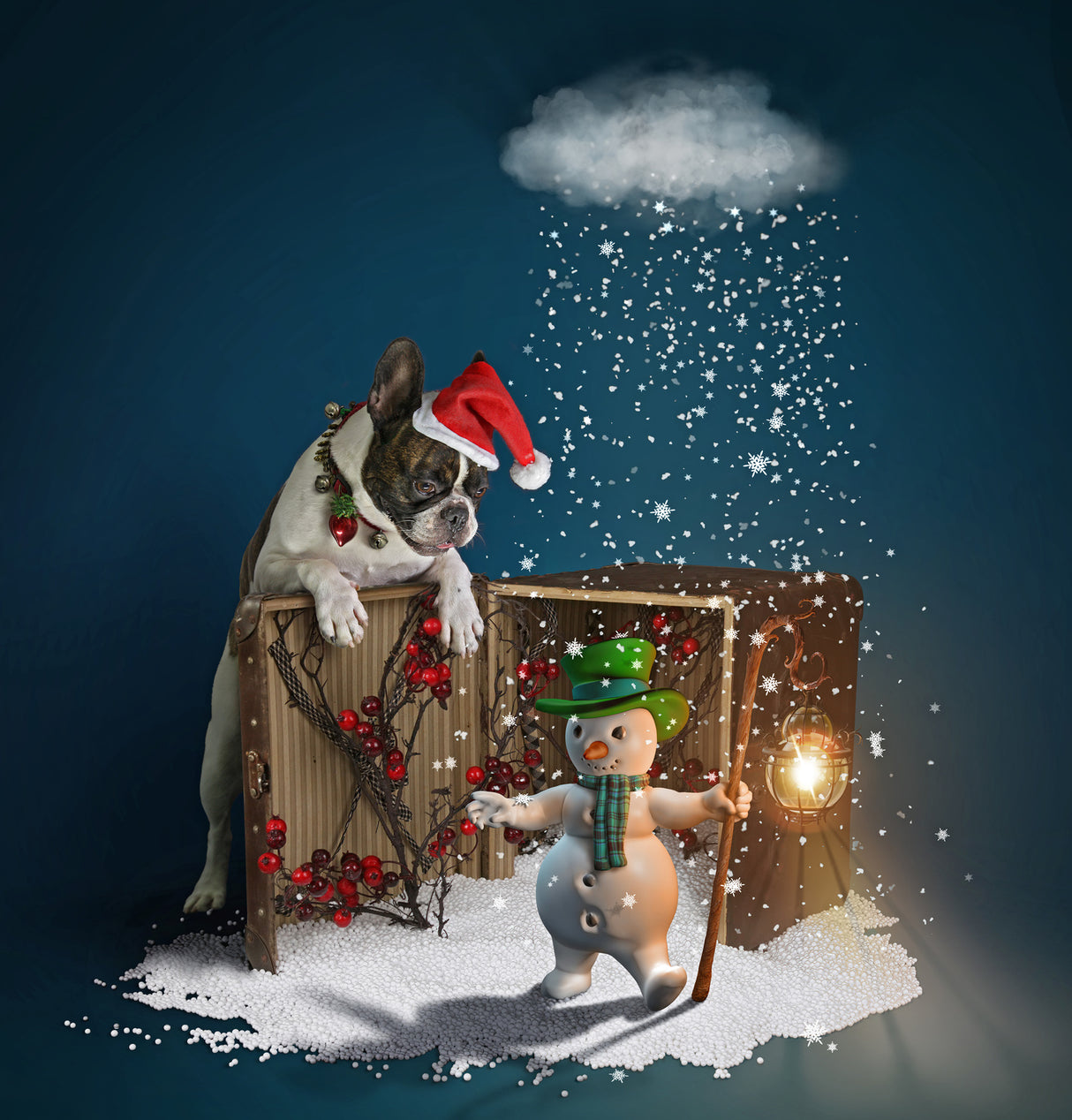 Dali and Snowman Poster och Canvastavla