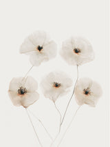 Beige Delicate Flowers Poster och Canvastavla