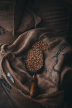 Coffee Poster och Canvastavla