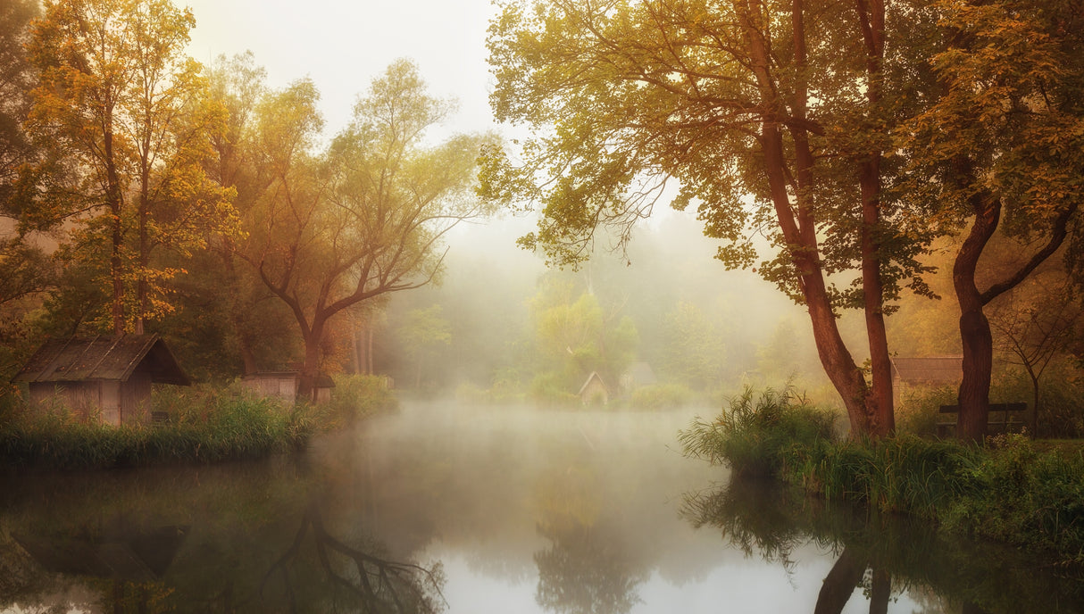 Foggy Autumn Poster och Canvastavla