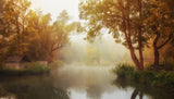 Foggy Autumn Poster och Canvastavla
