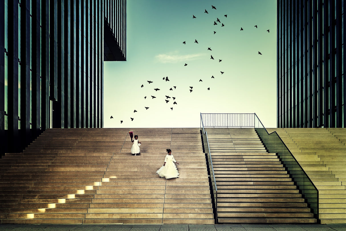Free like a bird... Poster och Canvastavla