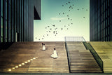 Free like a bird... Poster och Canvastavla