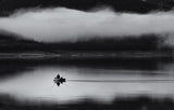 Fishing passion Poster och Canvastavla