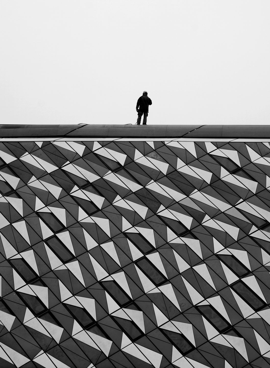 The man on the roof Poster och Canvastavla