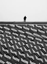The man on the roof Poster och Canvastavla