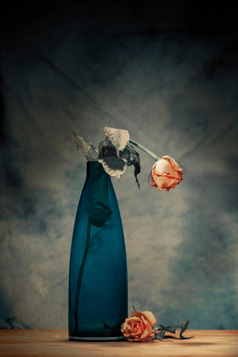 Decay - Dying Rose Poster och Canvastavla