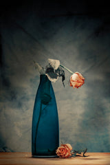 Decay - Dying Rose Poster och Canvastavla