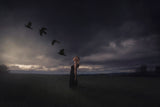 Dark prairie Poster och Canvastavla