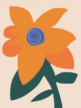 Macro Orange Bloom Poster och Canvastavla