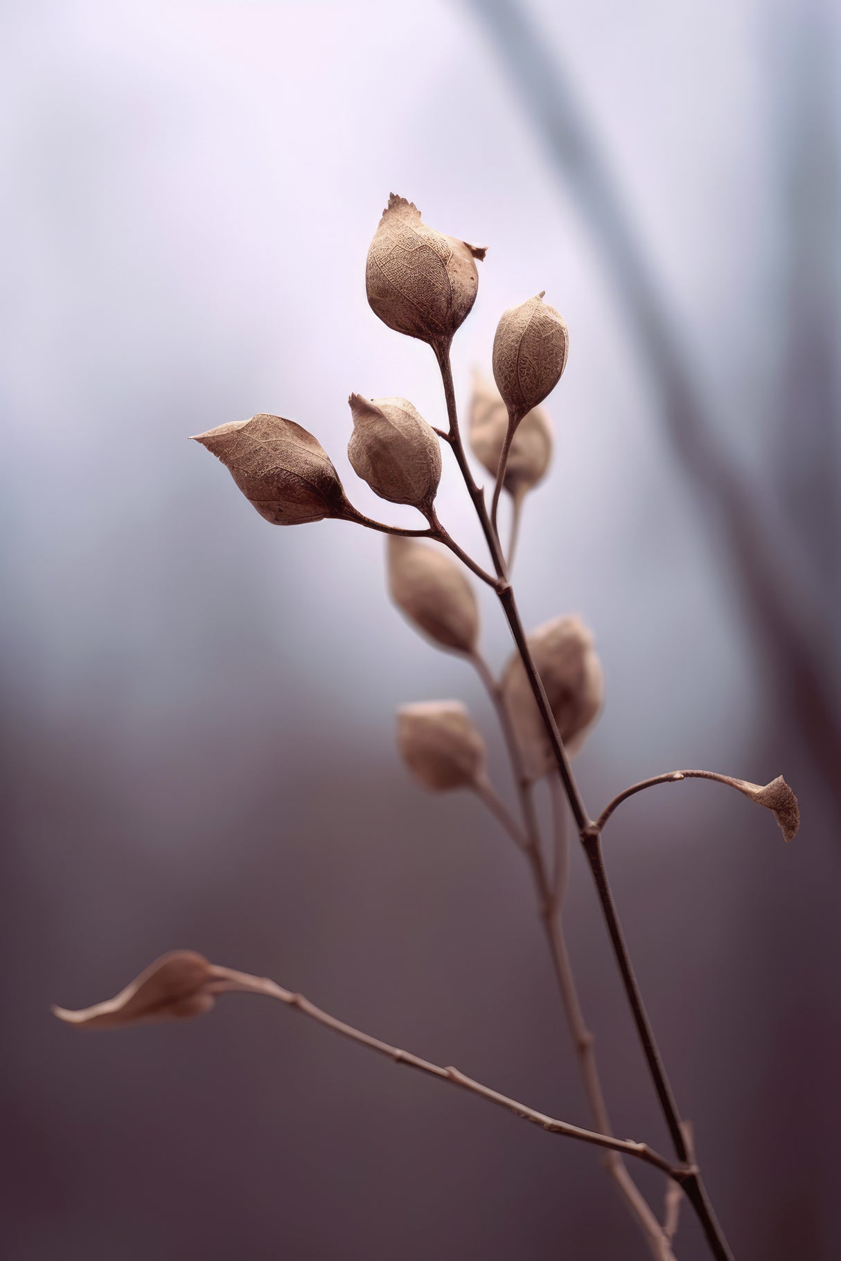 Nature Impressions No 2 Poster och Canvastavla