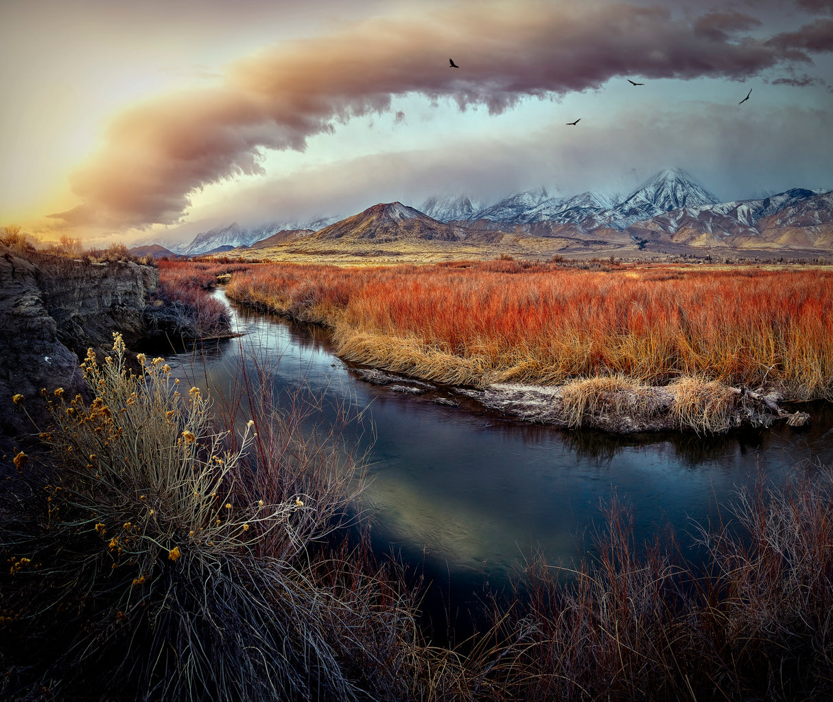 Owens River at Sunrise Poster och Canvastavla