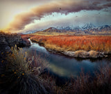 Owens River at Sunrise Poster och Canvastavla