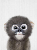 Peekaboo Baby Monkey Poster och Canvastavla