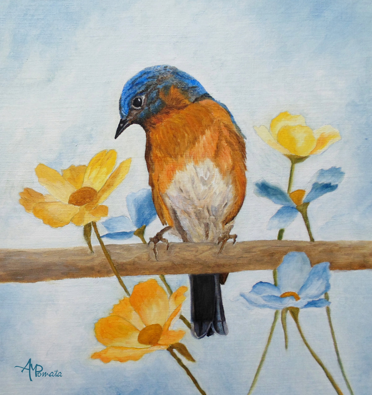 Flower Peeping Eastern Bluebird Poster och Canvastavla