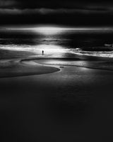 Alone at the seaside Poster och Canvastavla