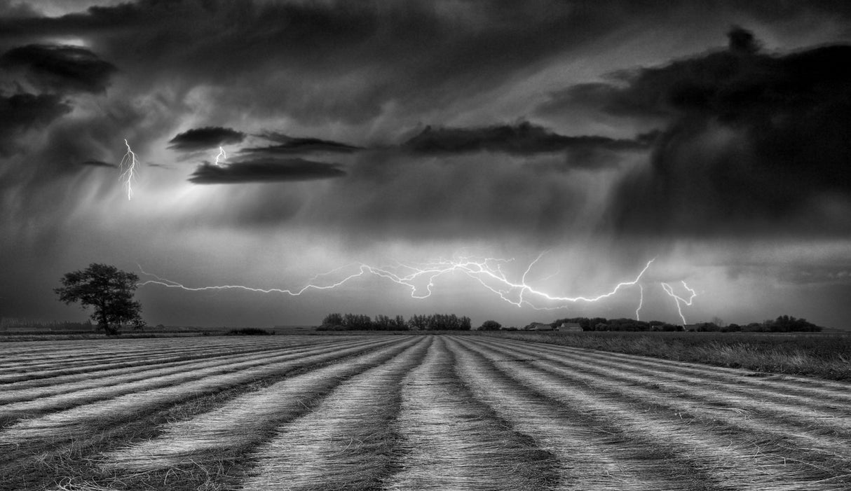 There is blessing in the Storm Poster och Canvastavla