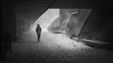 Snow storm Poster och Canvastavla