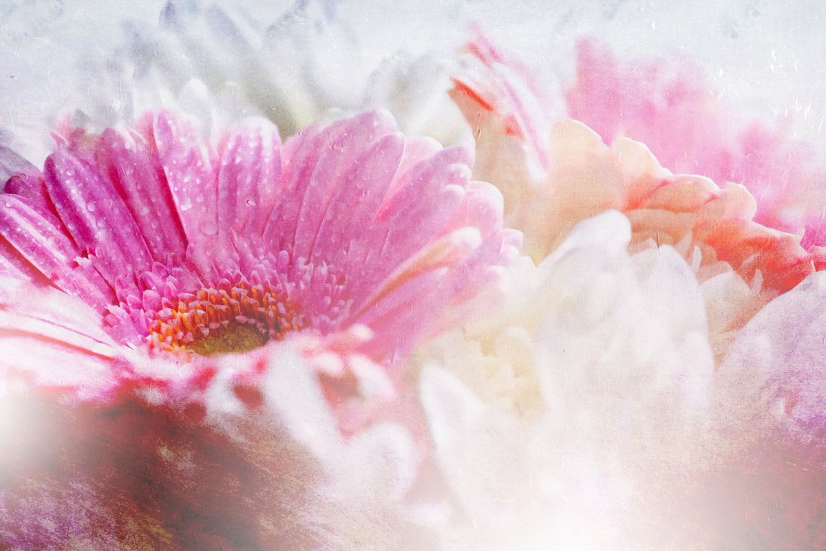 Ombre042flower Poster och Canvastavla
