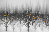 frozen yellow apples Poster och Canvastavla