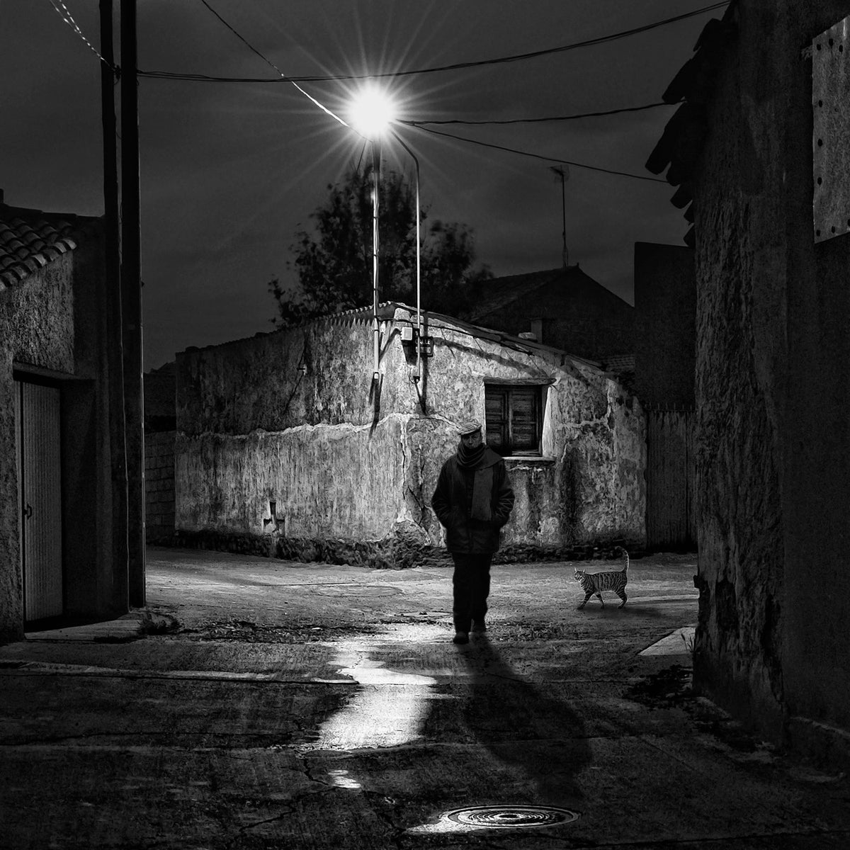 Loneliness Poster och Canvastavla