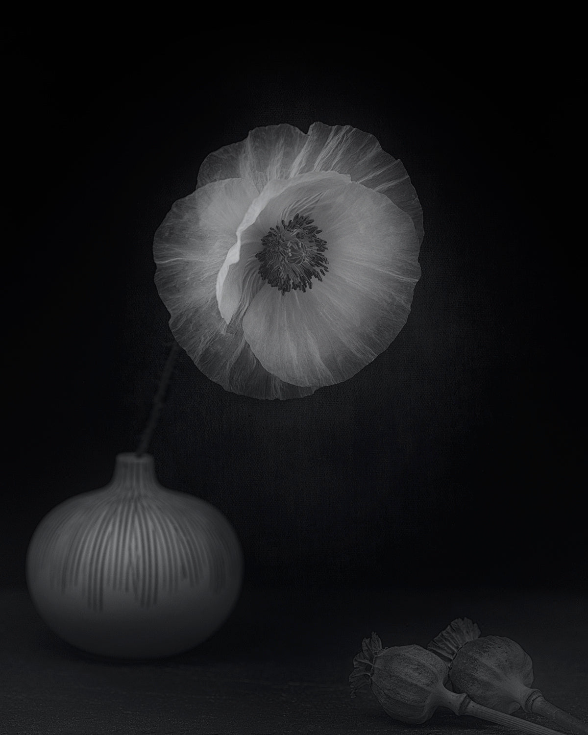 Poppies &amp; vase Poster och Canvastavla