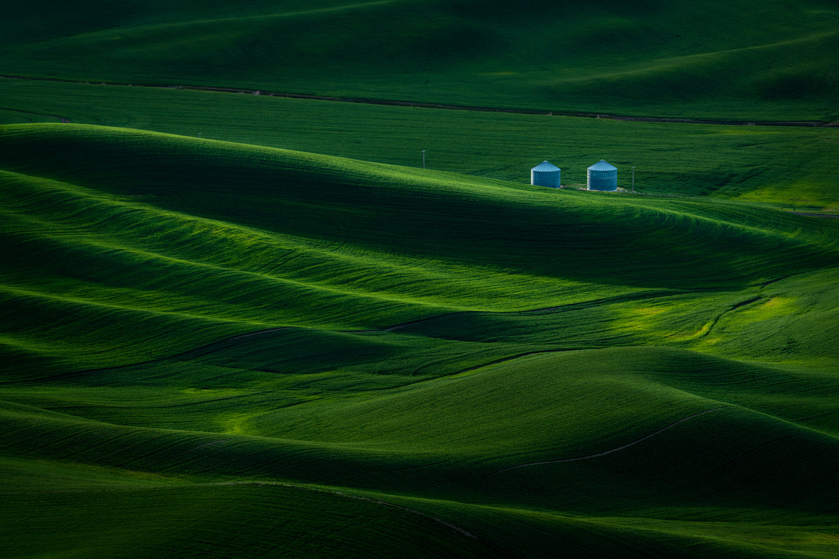 Farm Poster och Canvastavla