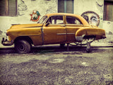 Old car/cat Poster och Canvastavla