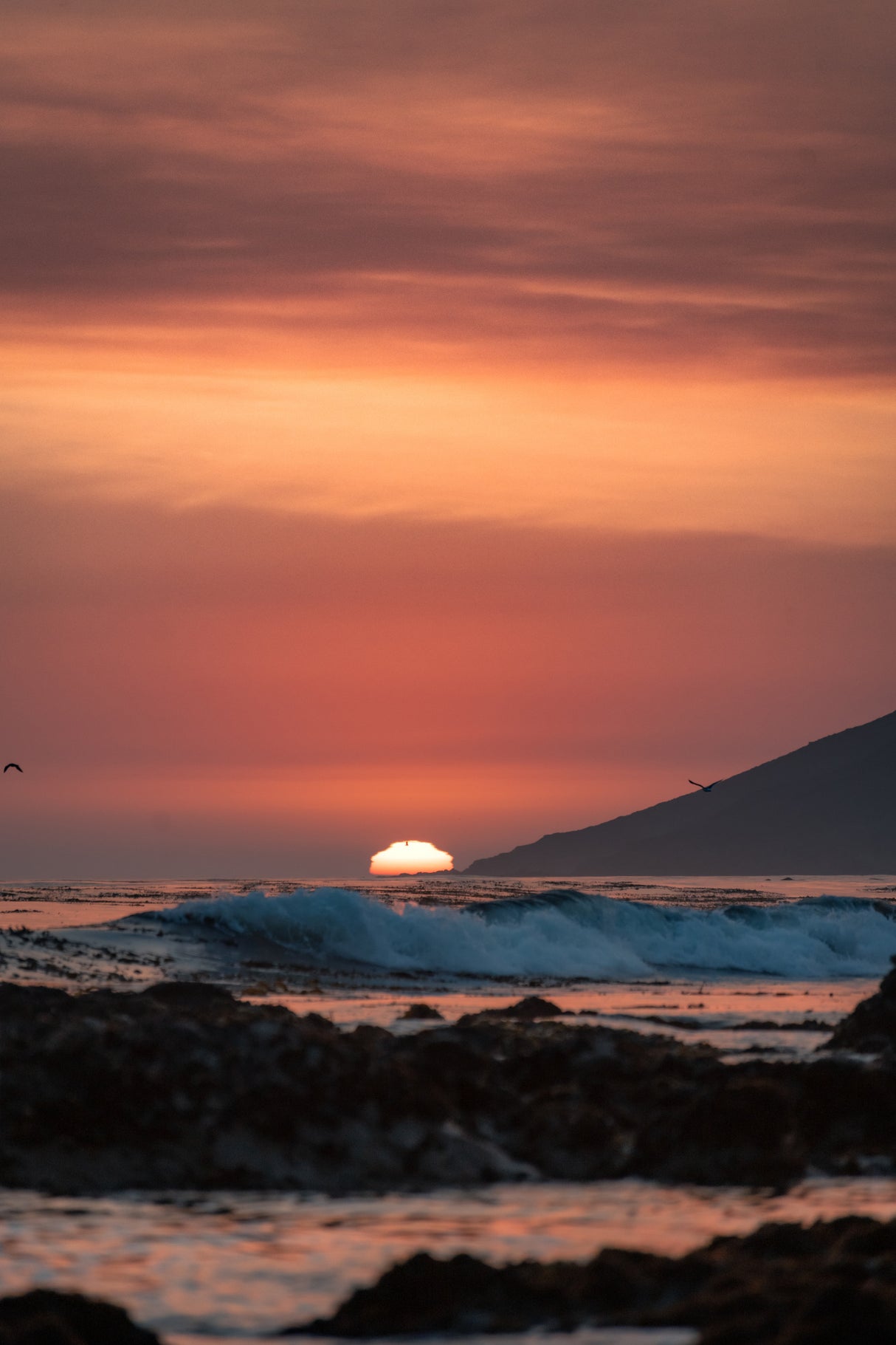 Orange Sunset Poster och Canvastavla