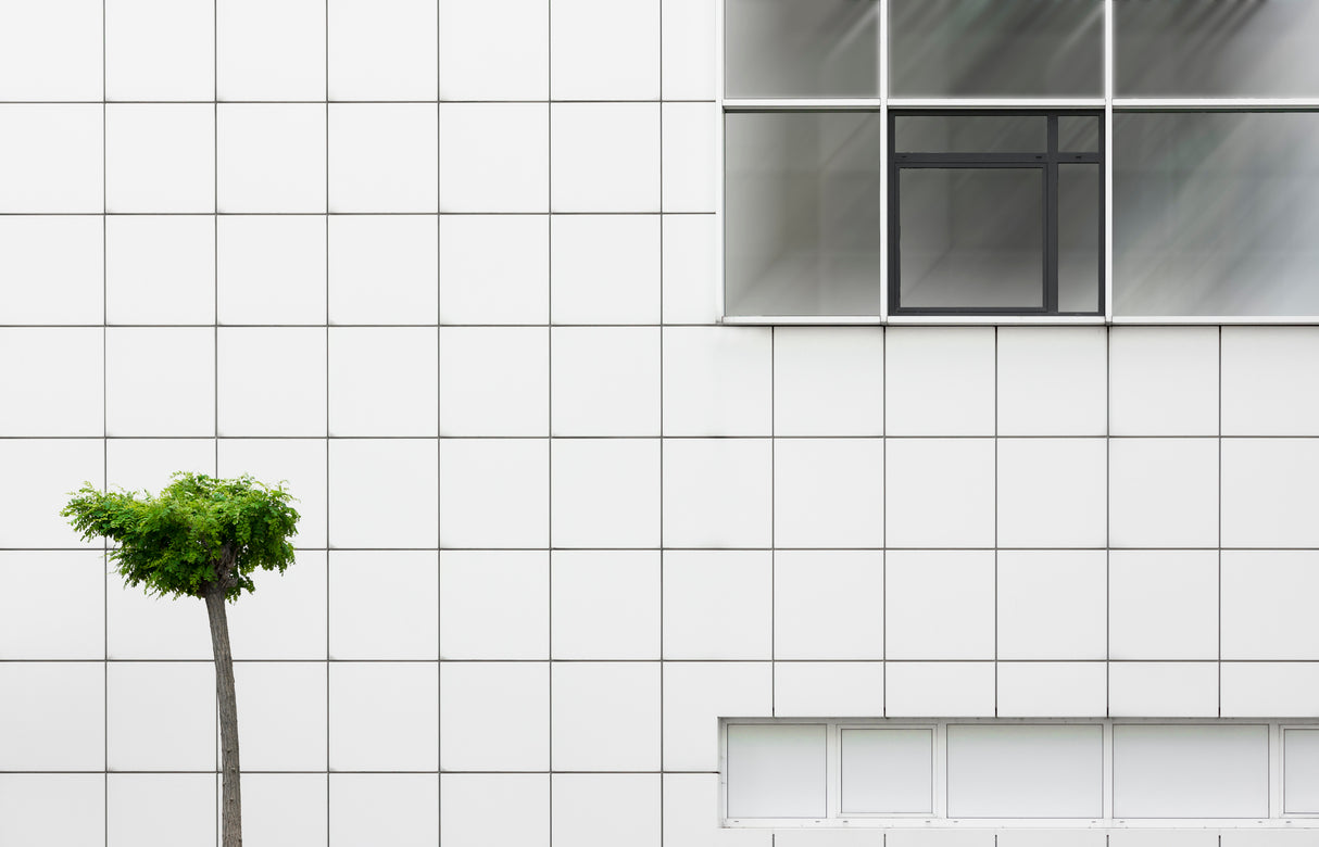 Little tree Poster och Canvastavla