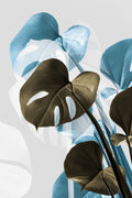 Monstera Creative 13 Poster och Canvastavla