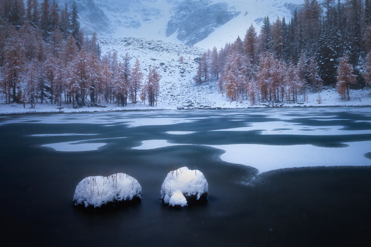 Glimpses of Partly Frozen Paradise Poster och Canvastavla