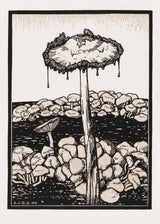 Dripping Mushroom 1916 Poster och Canvastavla