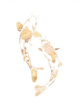 Gold koi fish silhouettes Poster och Canvastavla