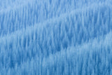 Winter's Pattern Poster och Canvastavla