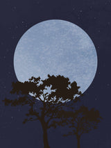 Dark Night Poster och Canvastavla